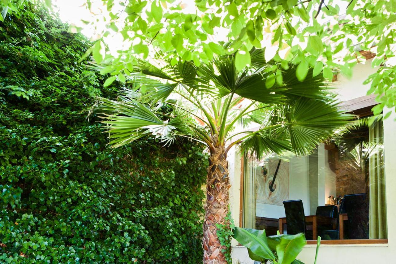 Sotobosque Hotel Mortera Buitenkant foto